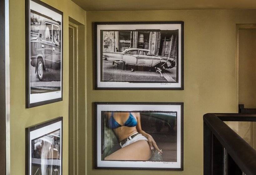 酒店 Life House, Little Havana