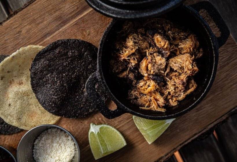 酒店 Life House, Little Havana