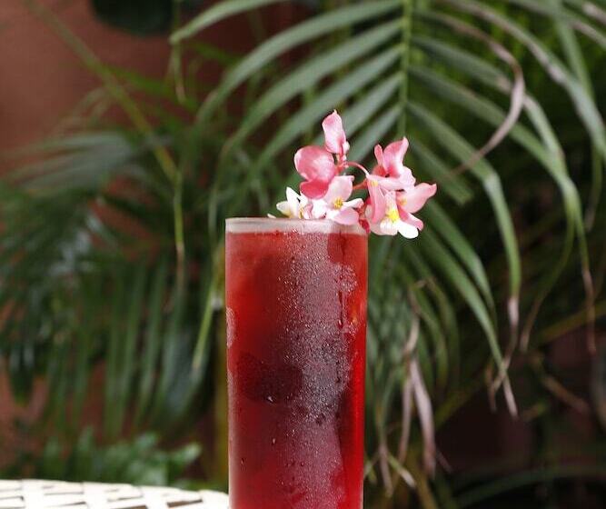 酒店 Life House, Little Havana