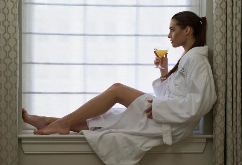 Nopsi Hotel New Orleans