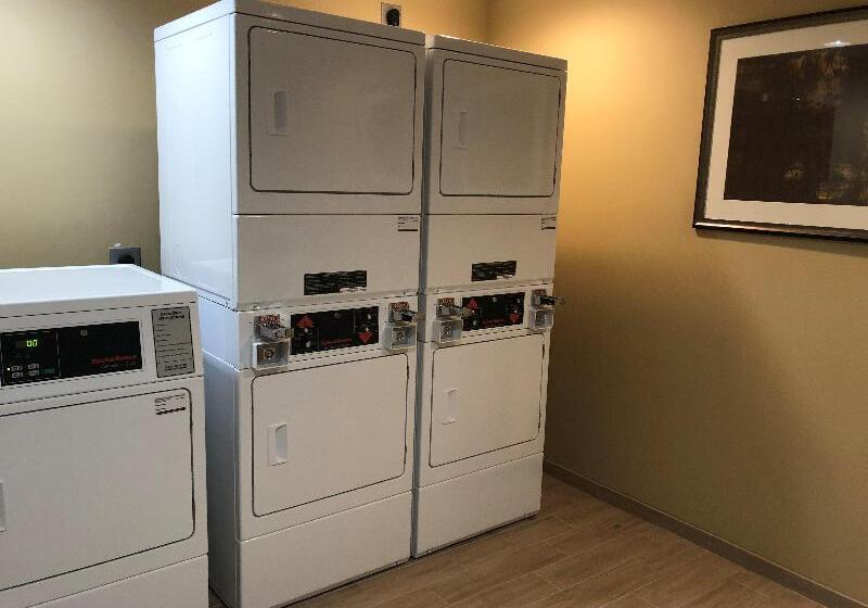 فندق Staybridge Suites Lakeland West