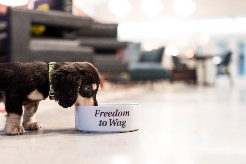 هتل Unscripted Durham, Part Of Jdv By Hyatt