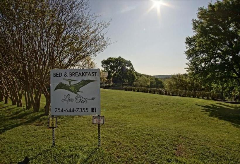 Live Oak B&b