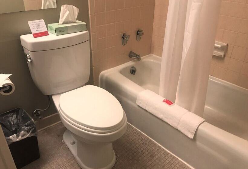 فندق على الطريق Econo Lodge Hurley Ironwood