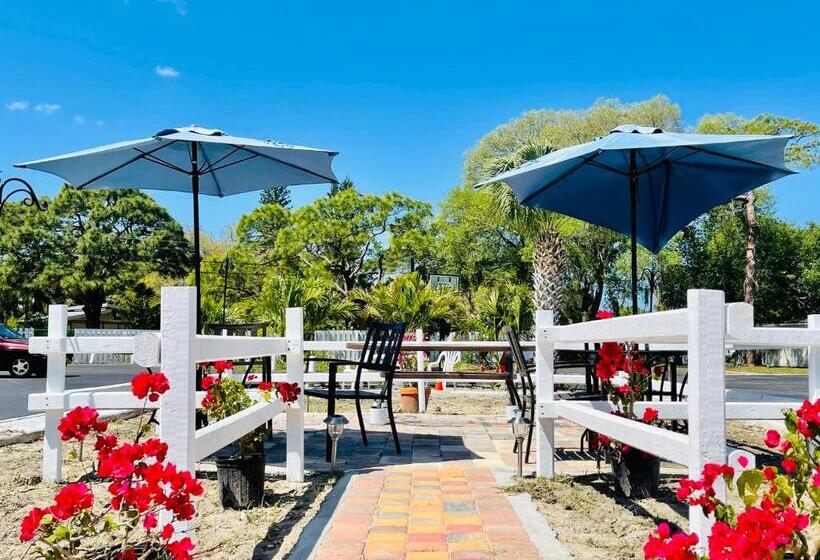 מוטל Siesta Inn Sarasota   Indian Beach