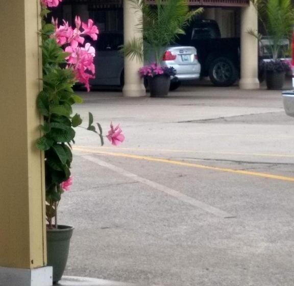 汽车旅馆 Southern Comfort Suites