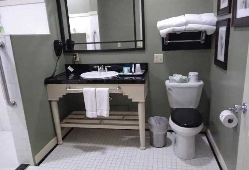 汽车旅馆 Southern Comfort Suites