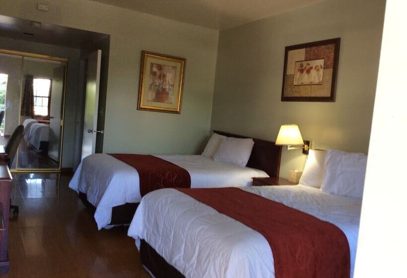 فندق على الطريق Village Inn