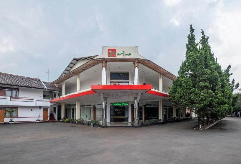 酒店 Narima Resort