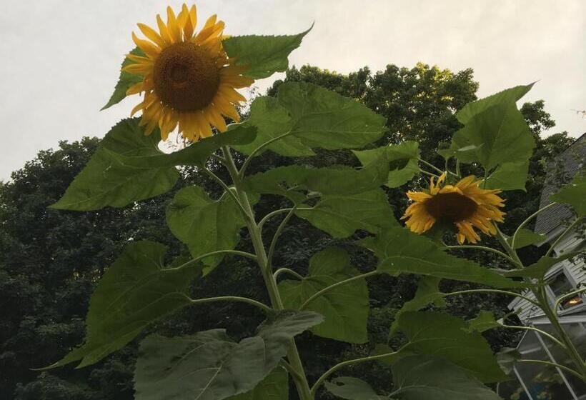 Timber Post Bed & Breakfast