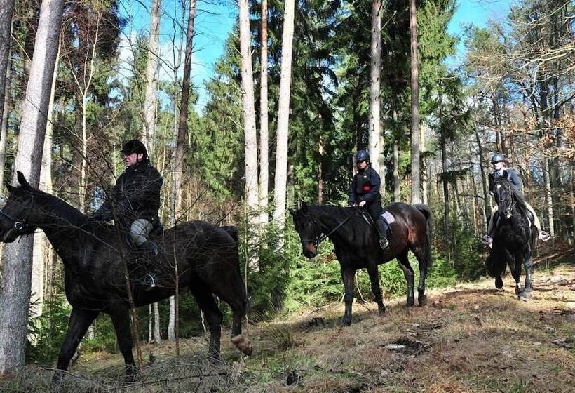 ホテル Podzamcze - Schlosspension