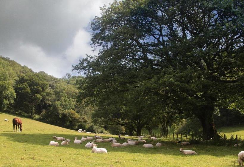 Acorn Farm B&b