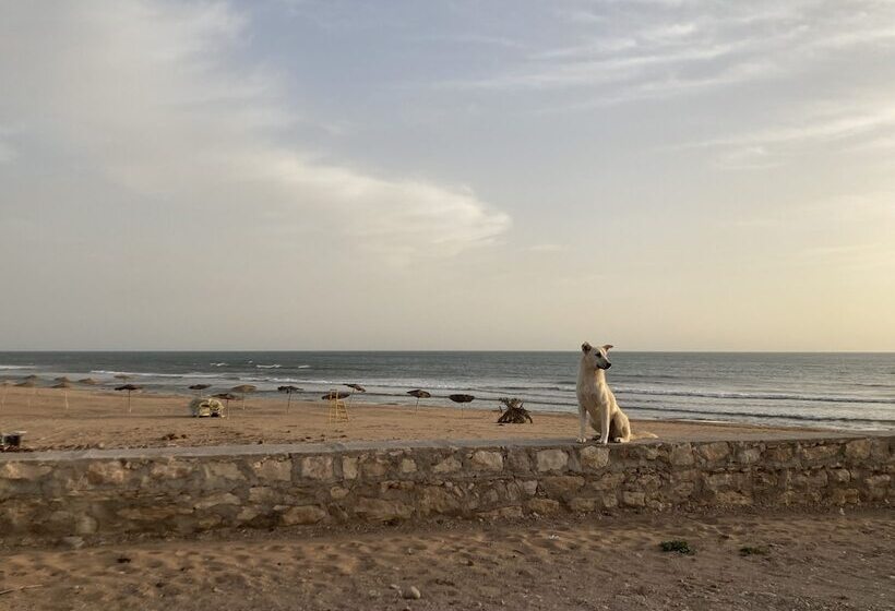 ユースホステル Auberge Du Marabout