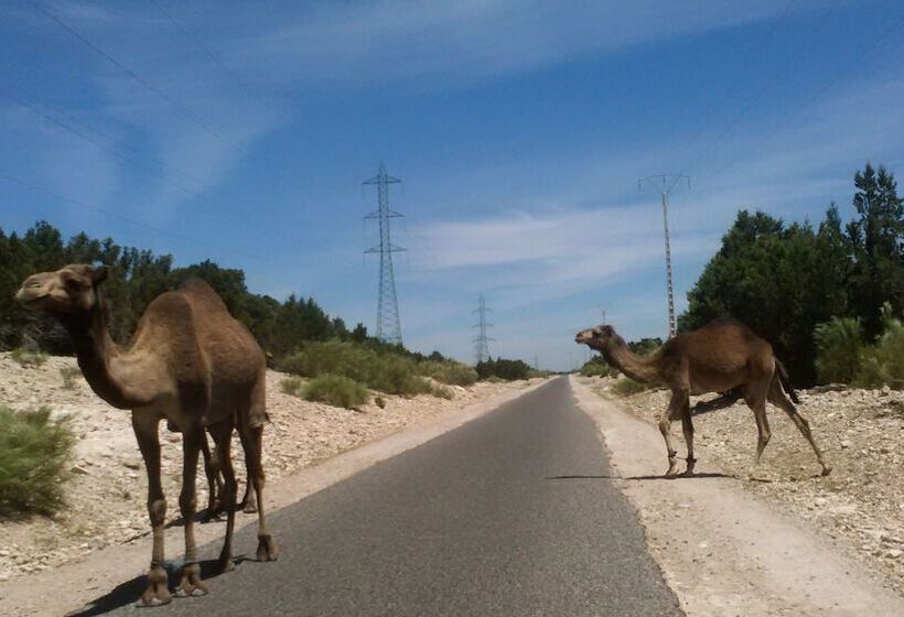 ユースホステル Auberge Du Marabout