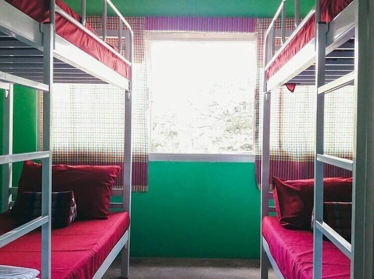 Общежитие Muster House