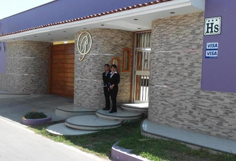 هاستل Paradisse