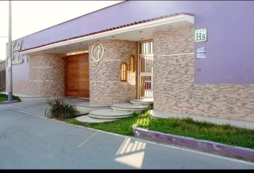 هاستل Paradisse