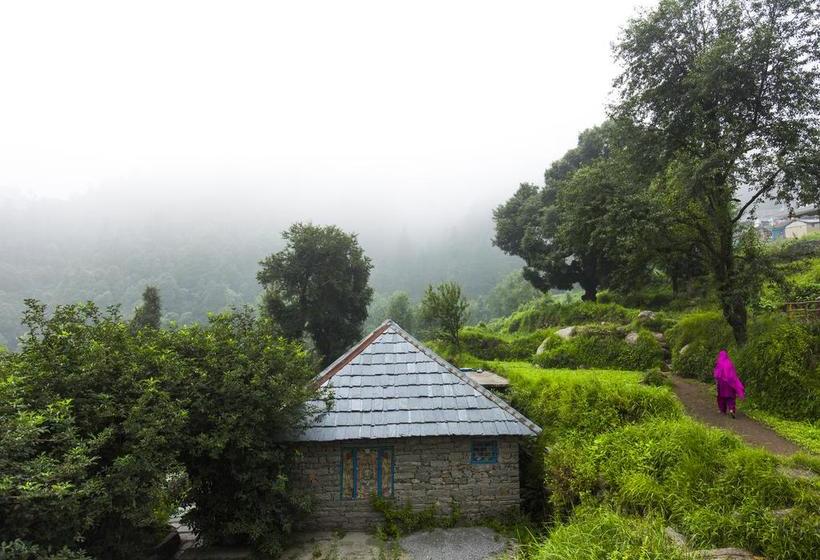 Общежитие Zostel Dharamkot