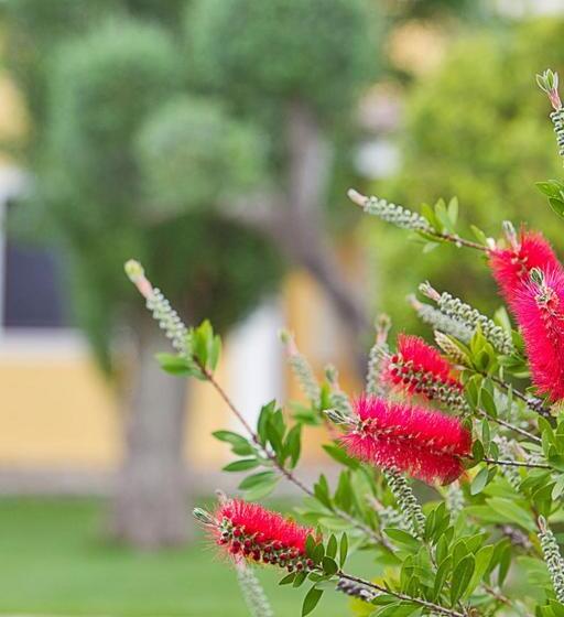 B&b Quattrostelle