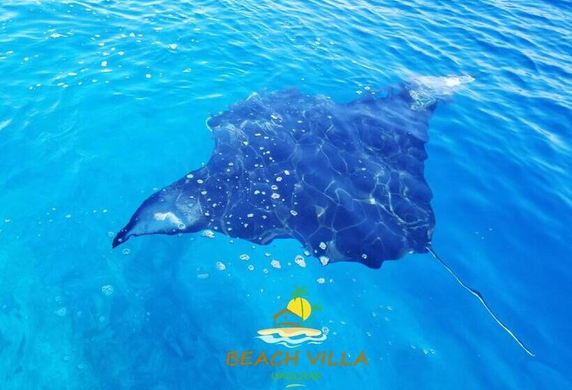 تختخواب و صبحانه Beach Villa Ukulhas