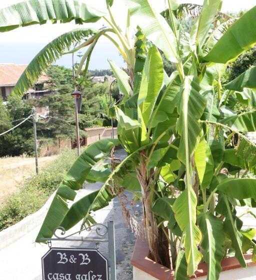 Bed And Breakfast Casagalez