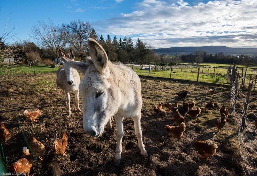 Bed and Breakfast Ferme De Malo