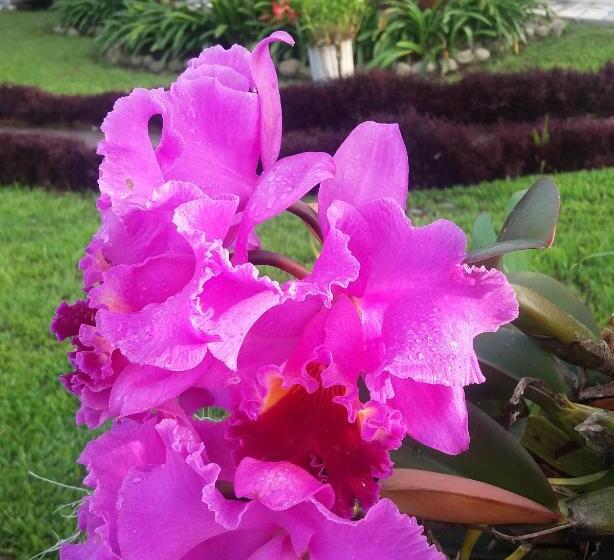 민박 Coliving La Boira