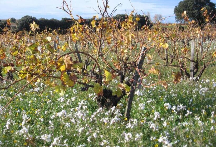 مبيت وإفطار Mas Du Puits