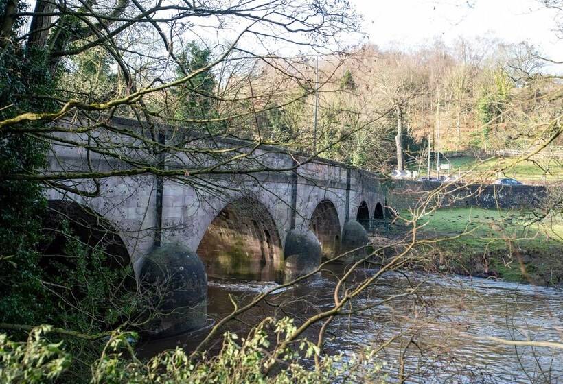 住宿加早餐  The Family Tree