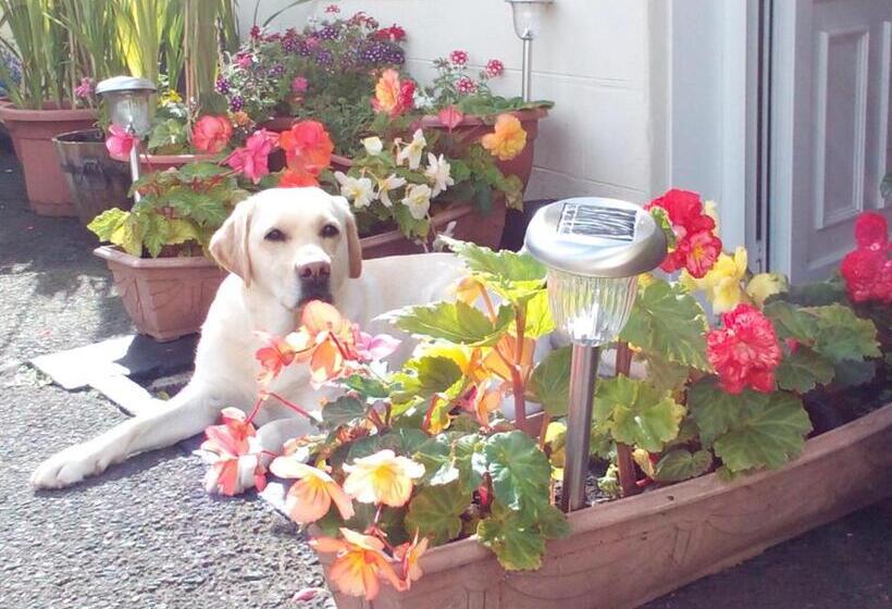 Broomfield House Bed And Breakfast