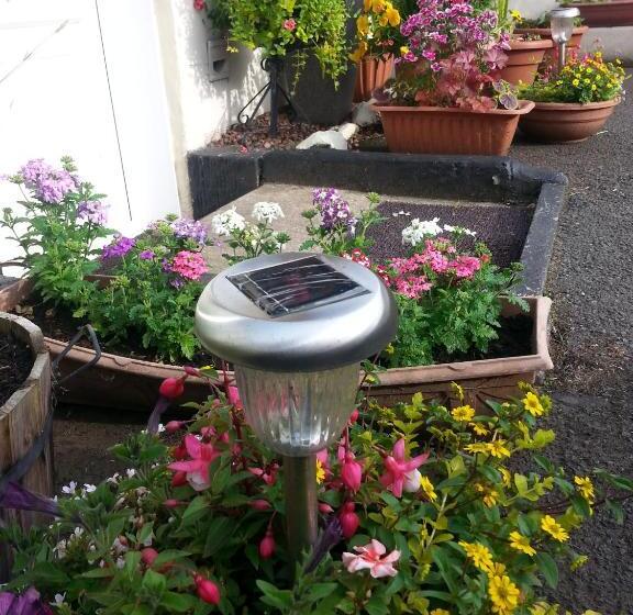 Broomfield House Bed And Breakfast