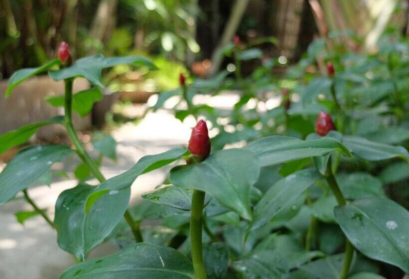 酒店 Baan Baimai Boutique Room