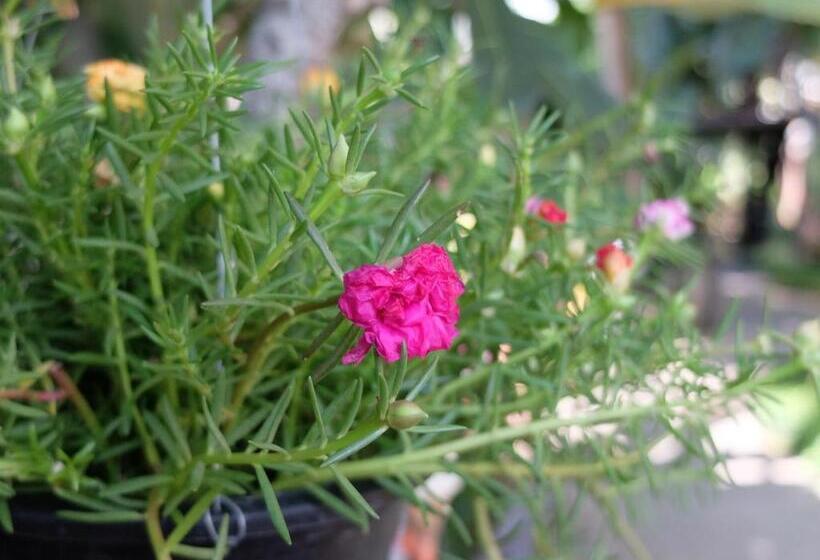 酒店 Baan Baimai Boutique Room