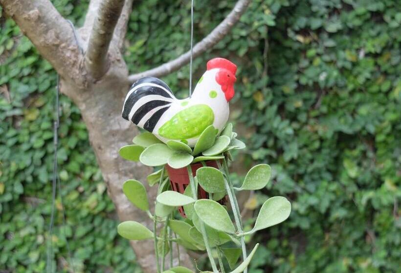 酒店 Baan Baimai Boutique Room