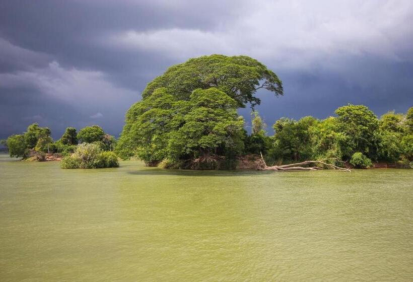 בית מלון כפרי Baba Guesthouse