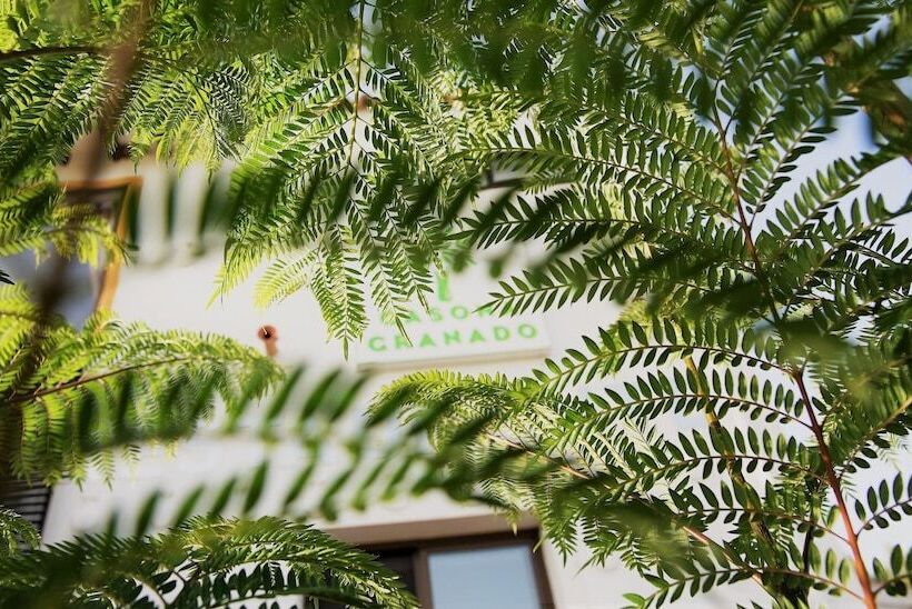 فندق Casona Granado