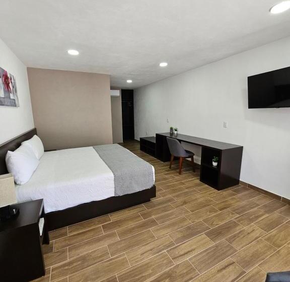 בית מלון כפרי Ejecutivo Aeropuerto