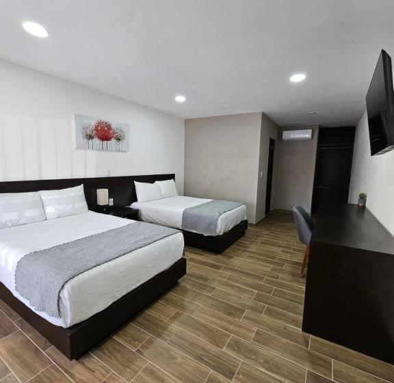 בית מלון כפרי Ejecutivo Aeropuerto