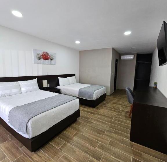 בית מלון כפרי Ejecutivo Aeropuerto