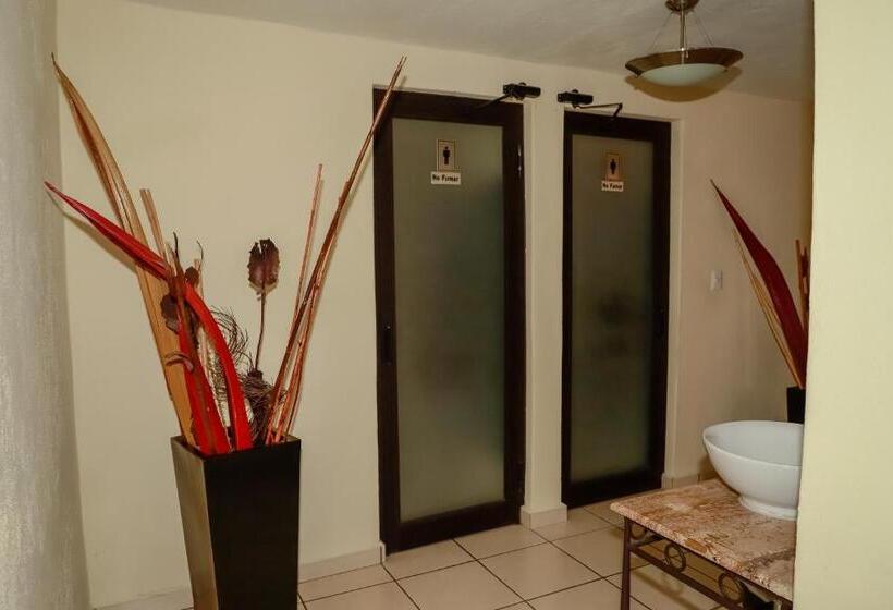 בית מלון כפרי Ejecutivo Aeropuerto