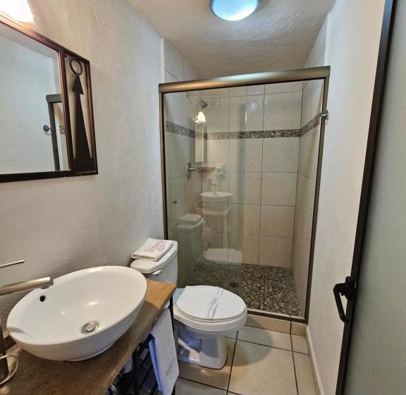 בית מלון כפרי Ejecutivo Aeropuerto