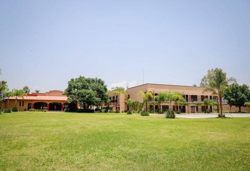 בית מלון כפרי Ejecutivo Aeropuerto