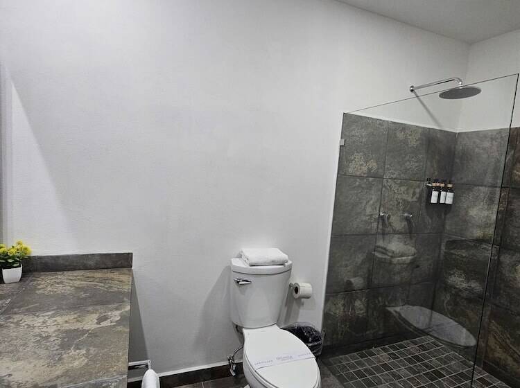 בית מלון כפרי Ejecutivo Aeropuerto