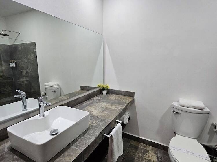 בית מלון כפרי Ejecutivo Aeropuerto