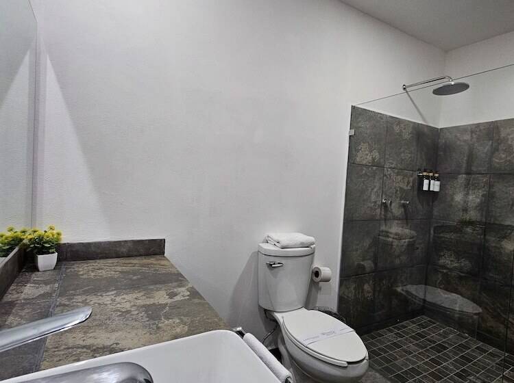 בית מלון כפרי Ejecutivo Aeropuerto