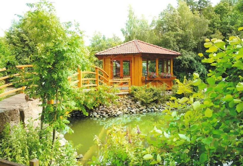 Отель Gasthof Schönau