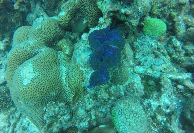 هتل Golhaa View Inn By Tes