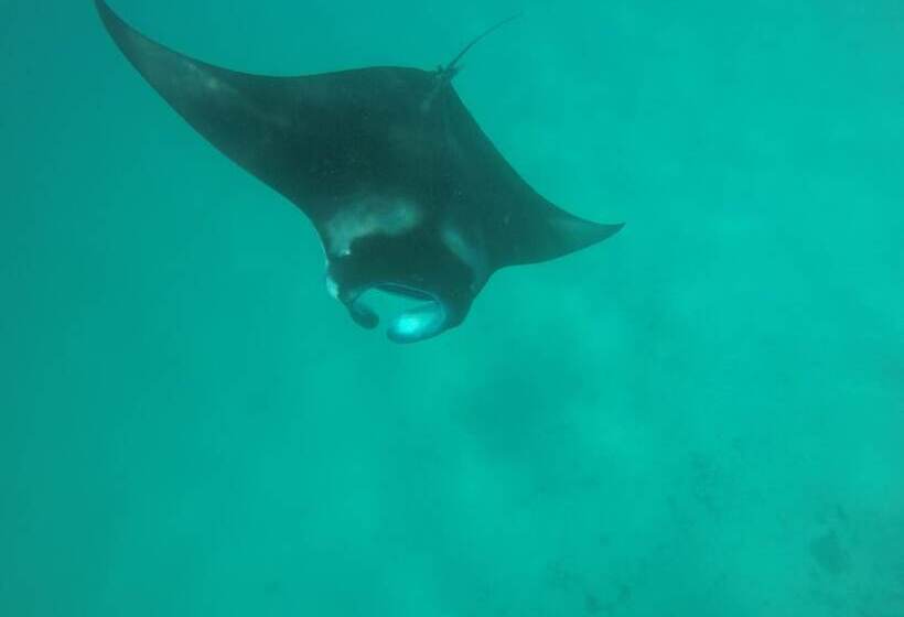 هتل Golhaa View Inn By Tes