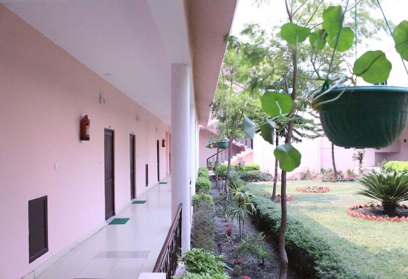 בית מלון כפרי Greenwood