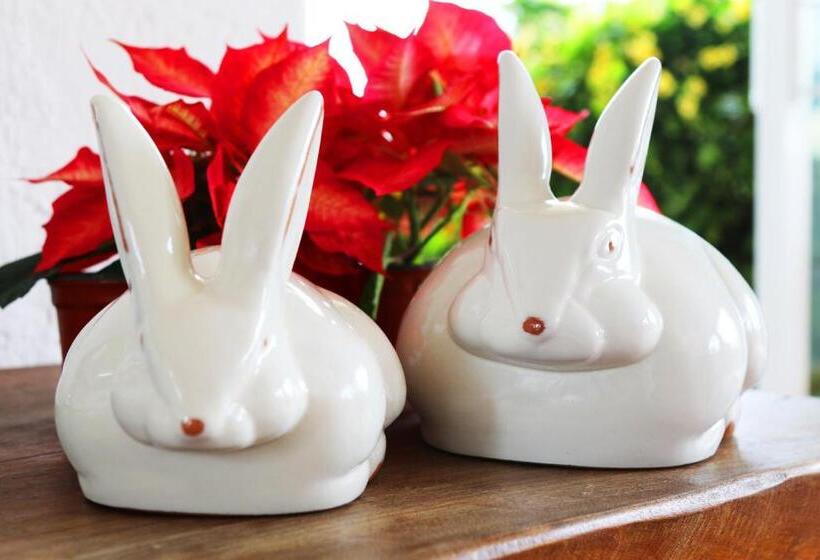 فندق Hacienda Panoaya